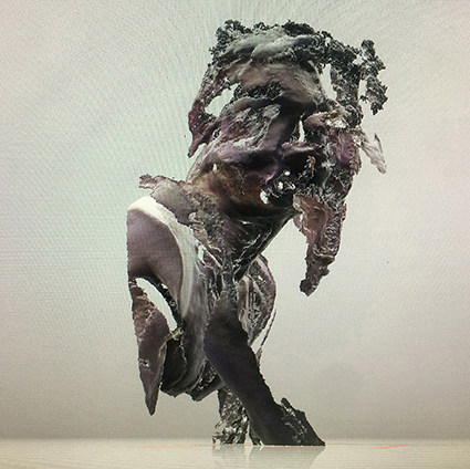 Interrupted 3D scan by artist Paul Coombs